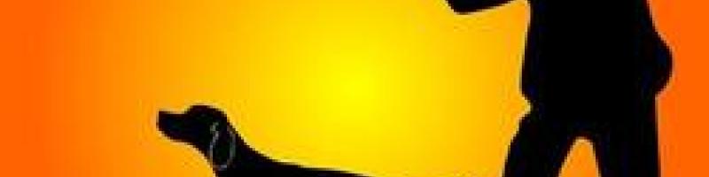 STAGIONE VENATORIA 2025-2026