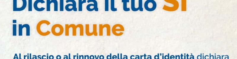 Dichiara il tuo sì in Comune